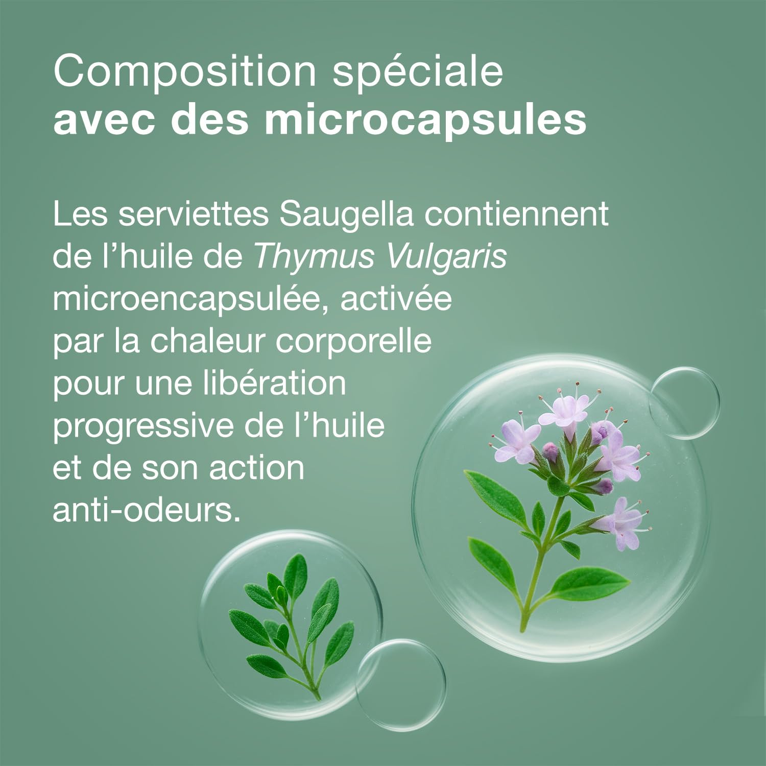 saugella-cotton-touch-jour-serviettes-hygi-niques-extra-fines-avec-ailettes-lot- image 6